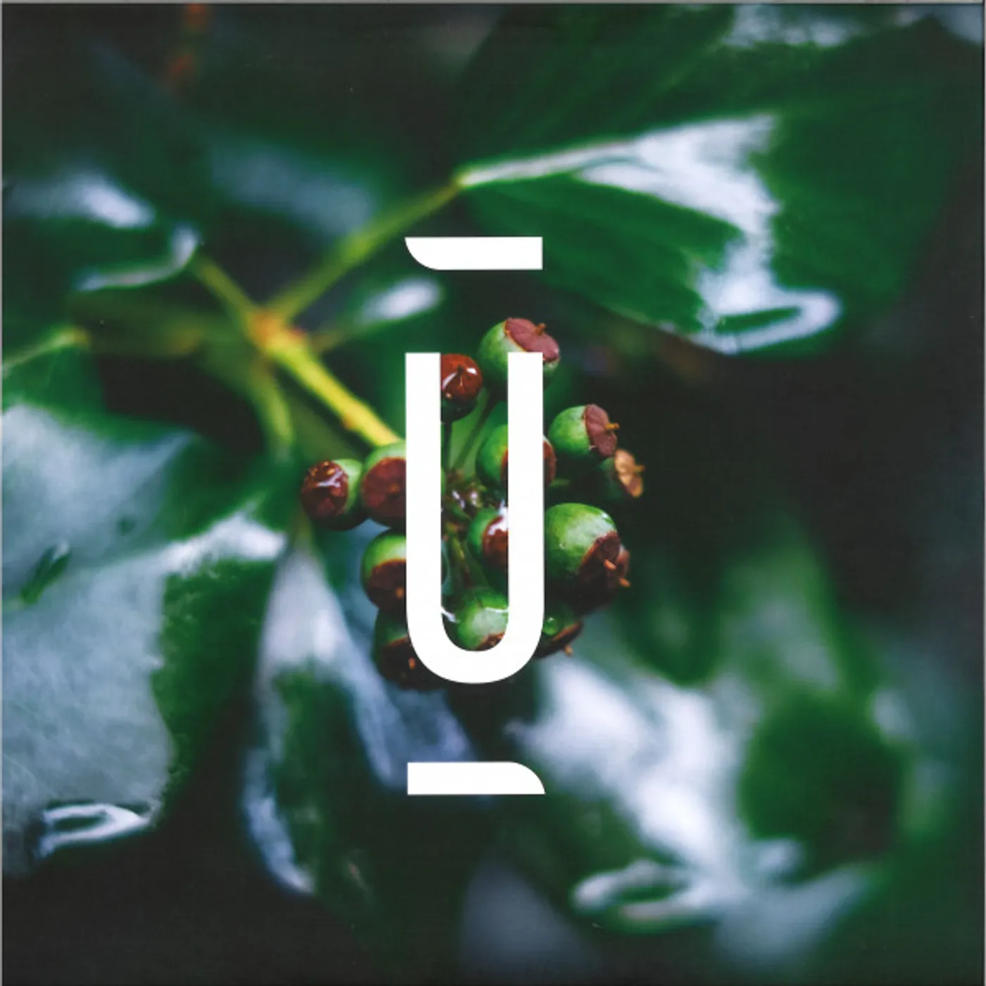 Decka ELIMINATION TECHNIQUES Vinyl Record