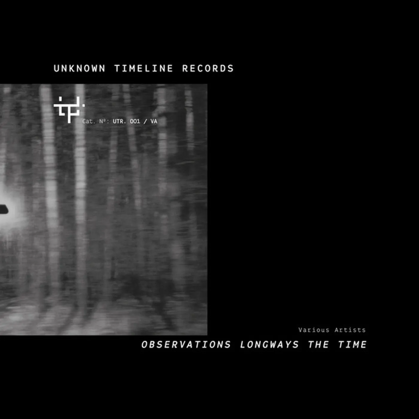OBSERVATIONS LONGWAYS THE TIME / VARIOUS Vinyl Record