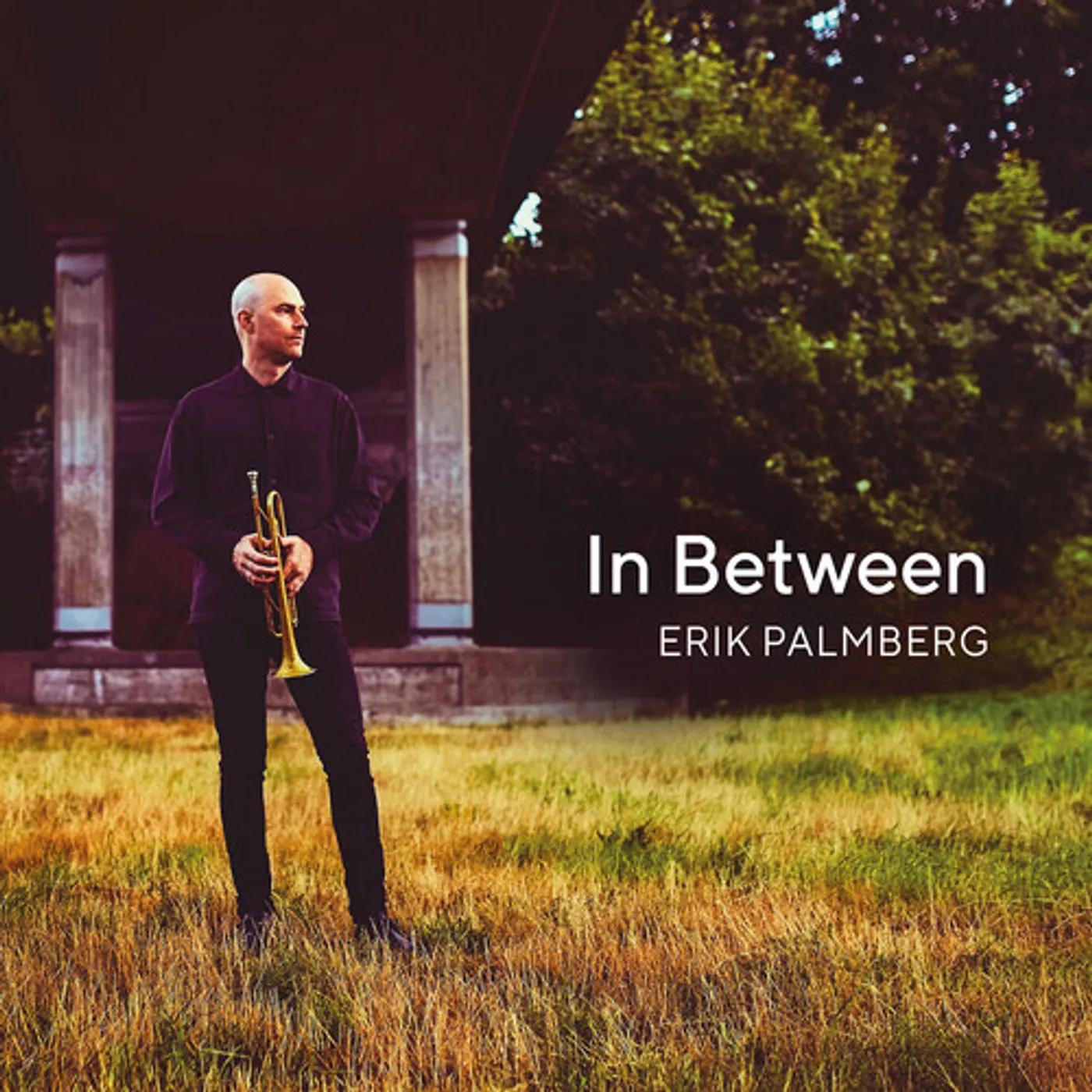 Erik Palmberg IN BETWEEN CD