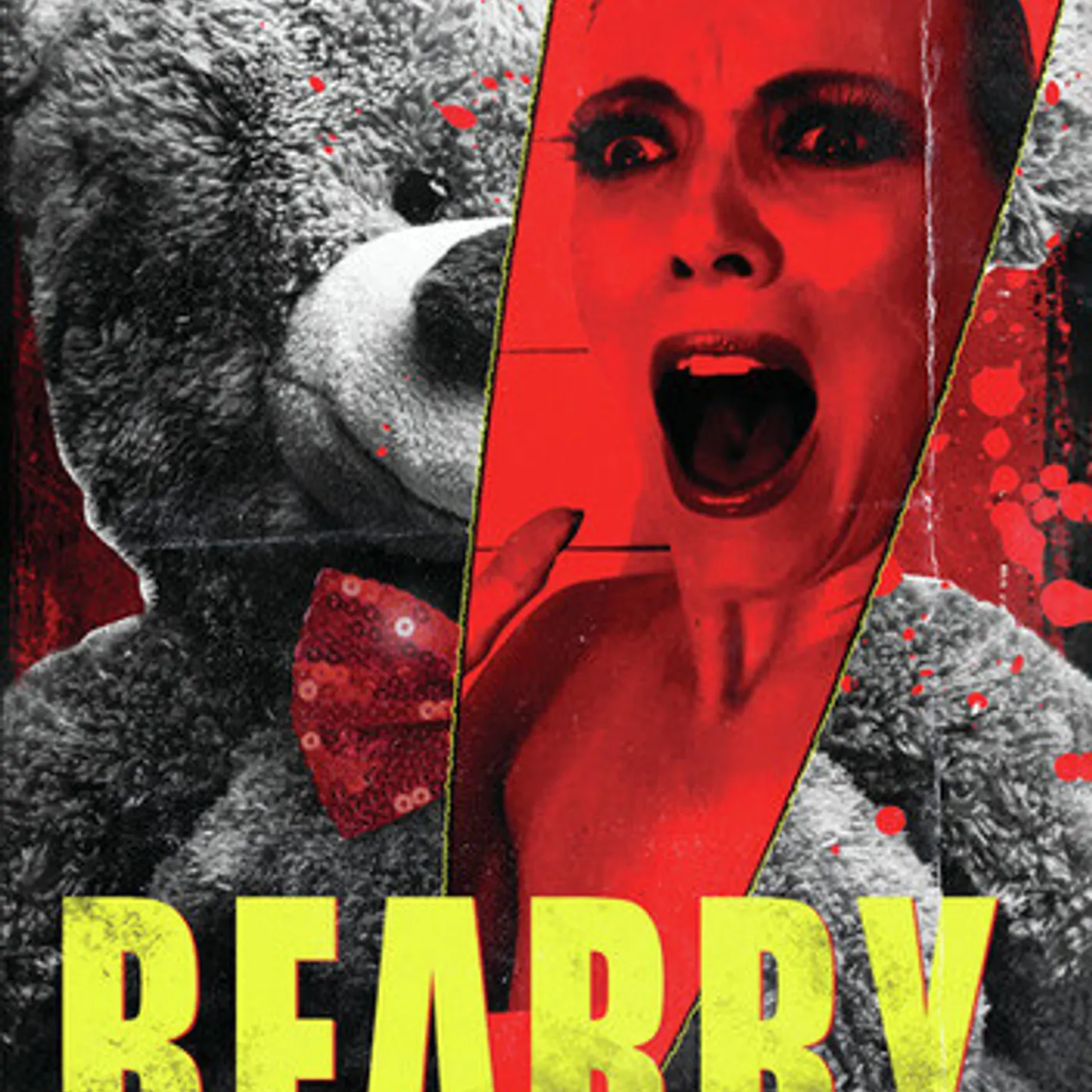 BEARRY DVD