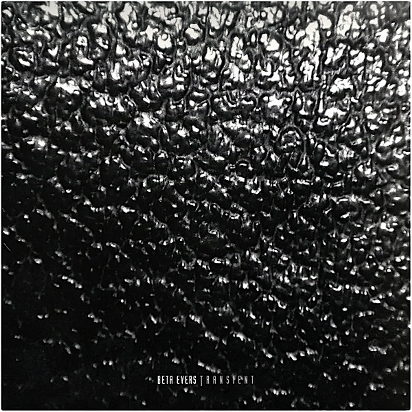 Beta Evers Transient Vinyl Record