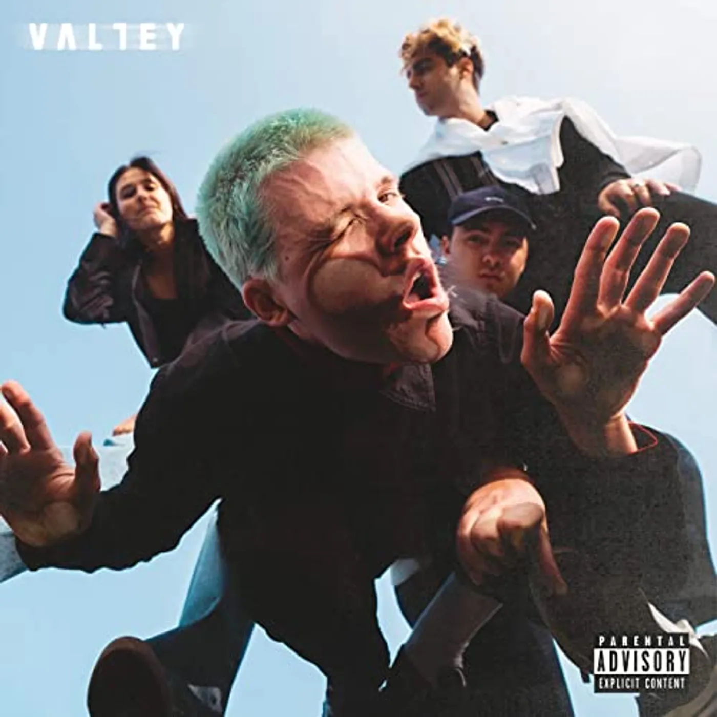 Valley SUCKS TO SEE YOU DOING Vinyl Record