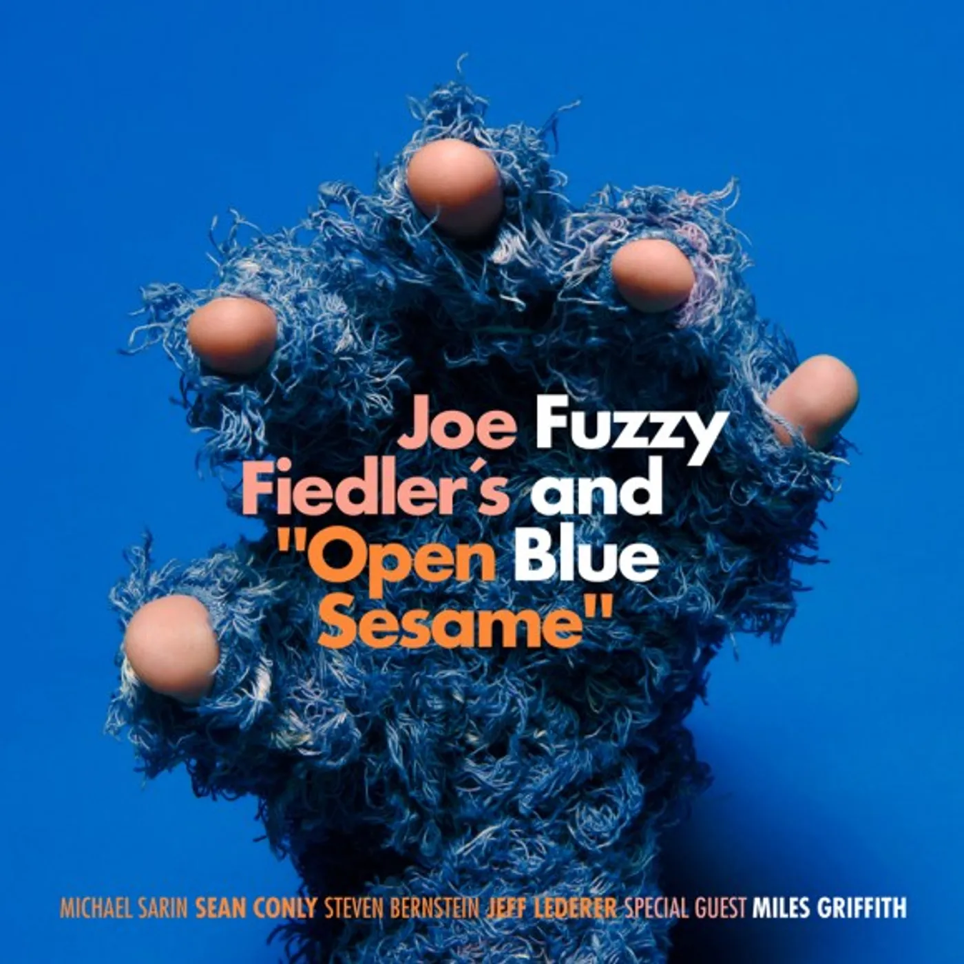 Joe Fiedler FUZZY AND BLUE CD