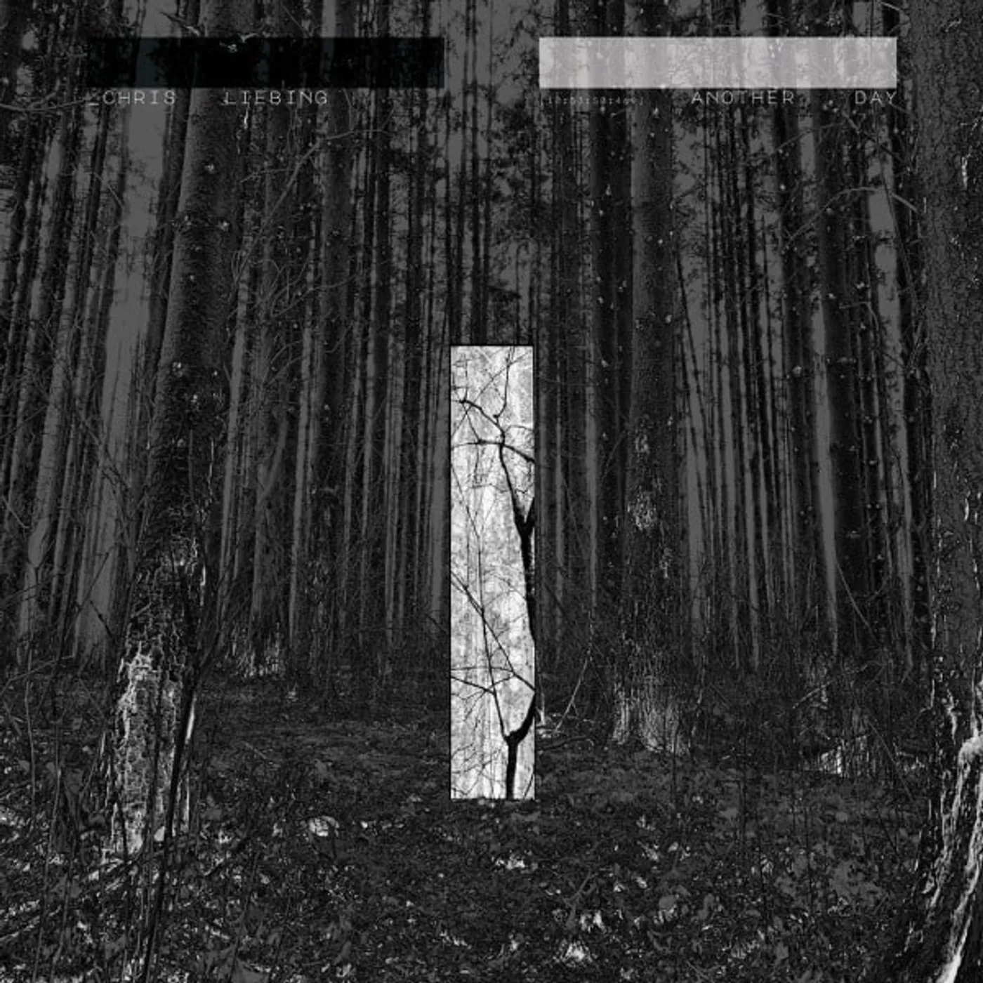 Chris Liebing Another Day Vinyl Record