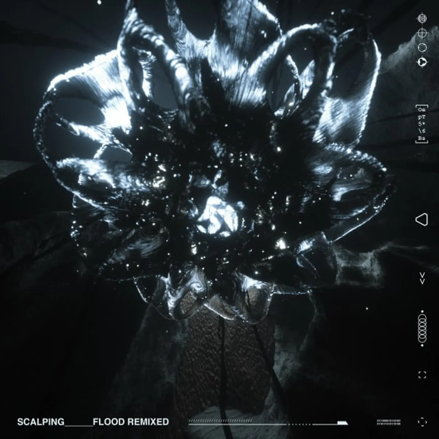 SCALPING Flood Remixed Vinyl Record