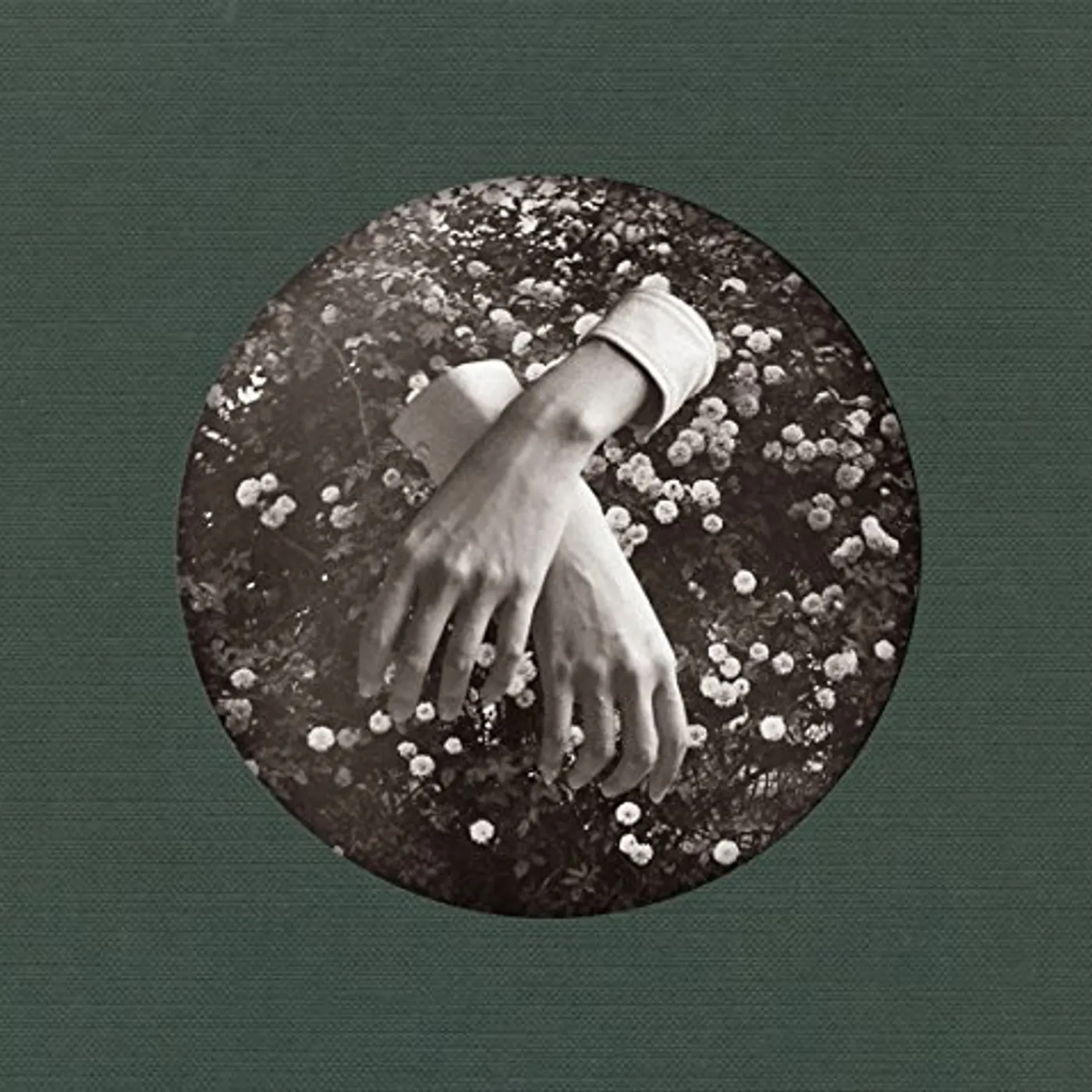 aspidistrafly A LITTLE FABLE Vinyl Record