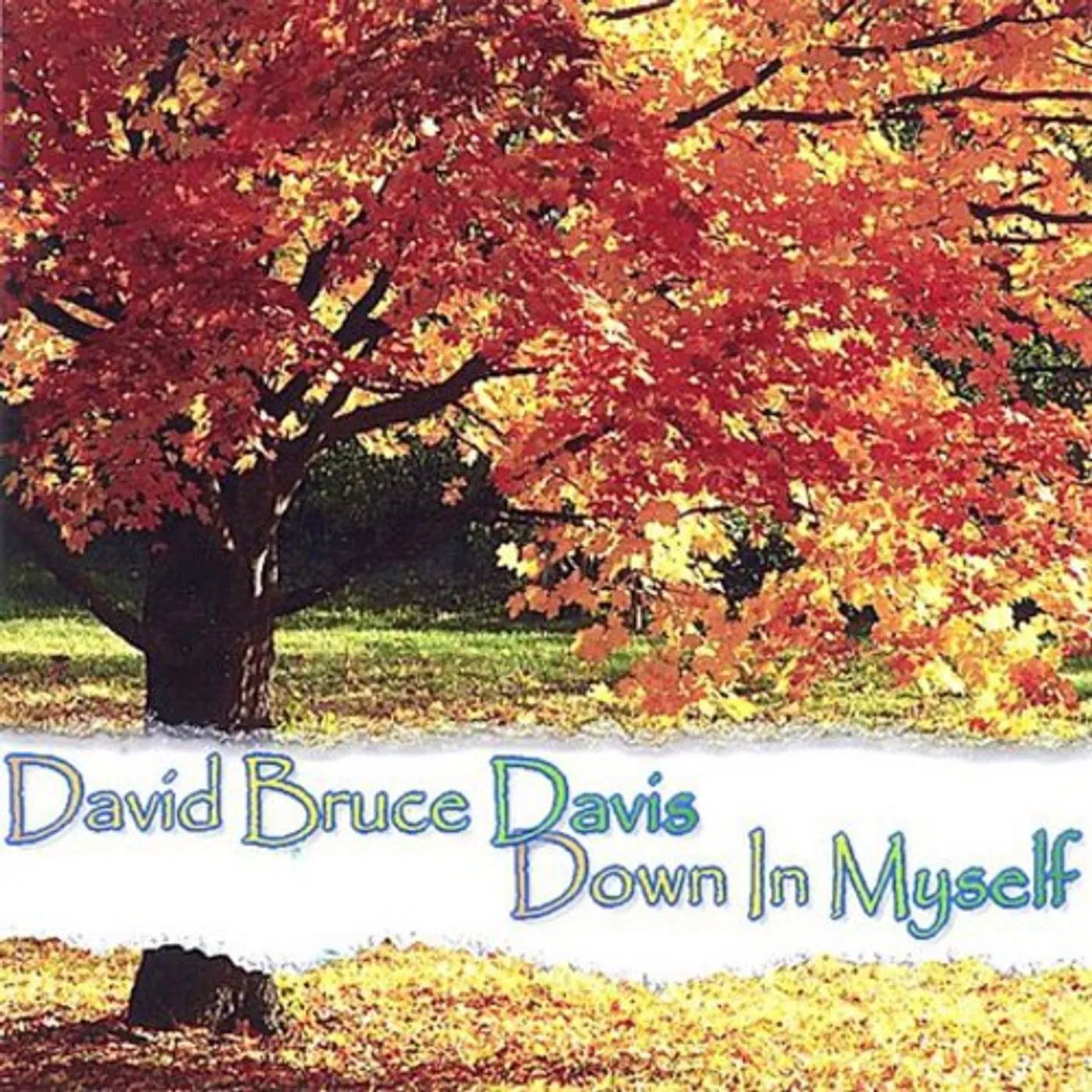 David Bruce Davis DOWN IN MYSELF CD