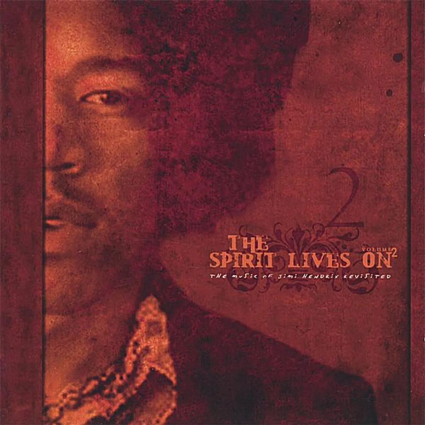SPIRIT LIVES ON - MUSIC OF JIMI HENDRIX II / VAR CD