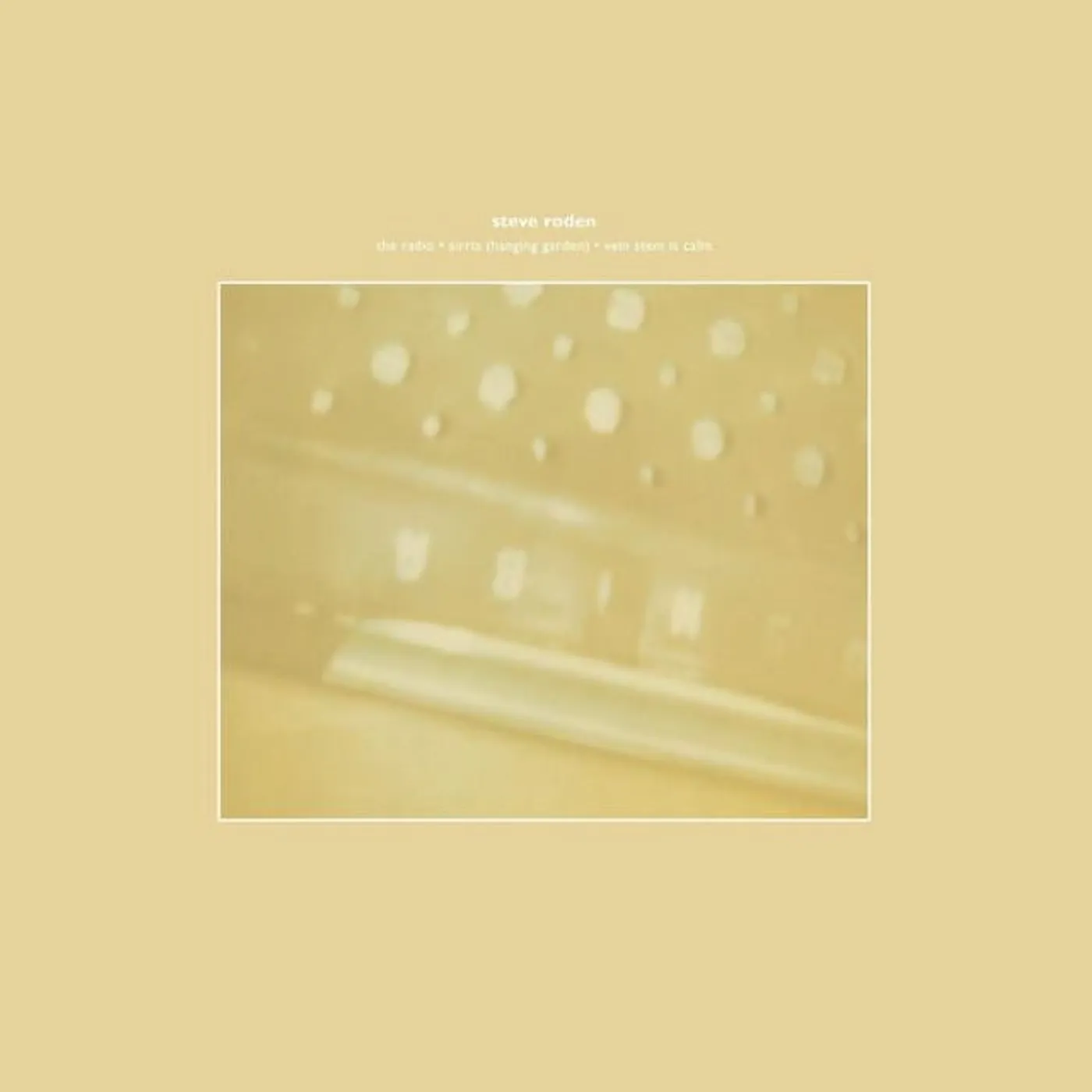 Steve Roden RADIO AIRRIA (HANGING GARDEN) / VEIN STEM IS CALM Vinyl Record