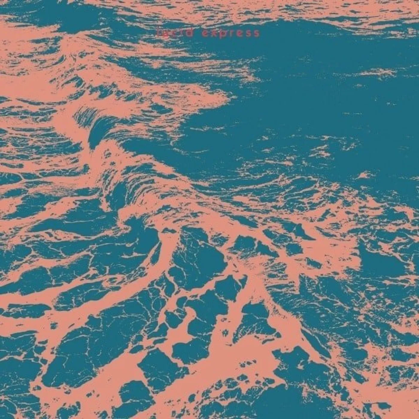 Lucid Express Vinyl Record