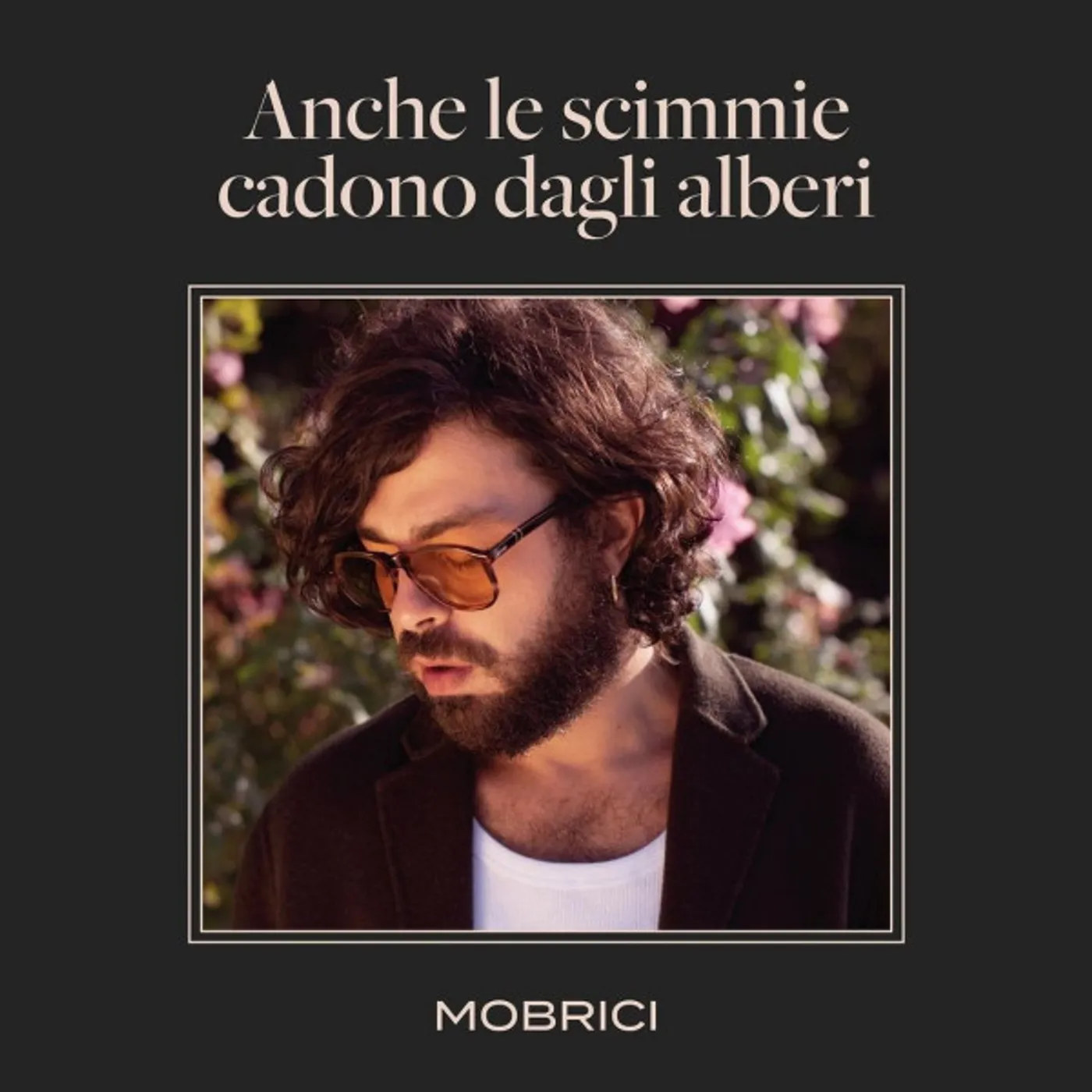 MOBRICI ANCHE LE SCIMMIE CADONO DAGLI ALBERI Vinyl Record