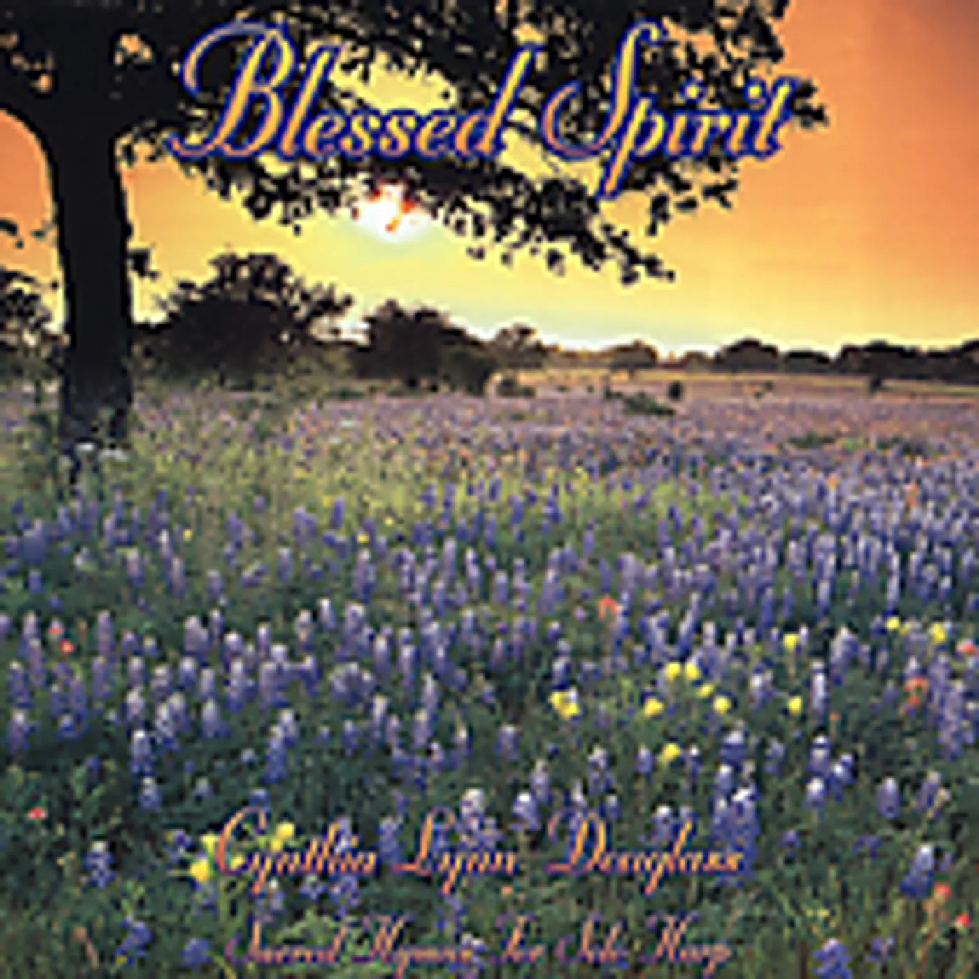 Cynthia Lynn Douglass BLESSED SPIRIT CD