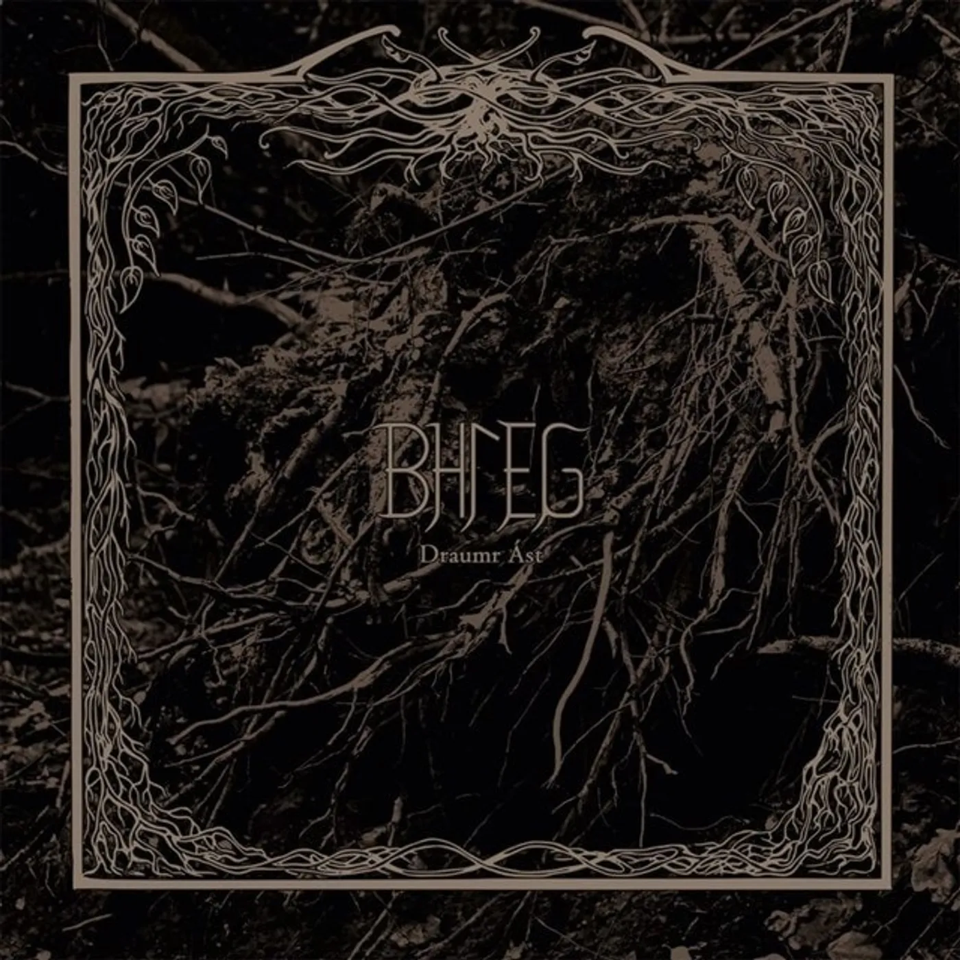 Bhleg DRAUMR AST Vinyl Record