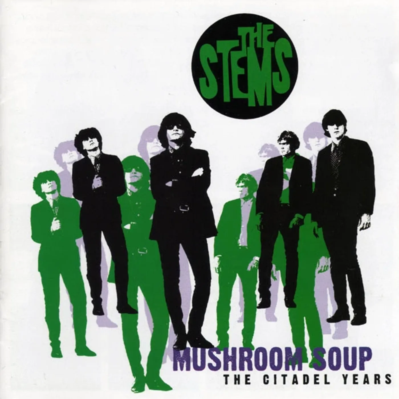 STEMS MUSHROOM SOUP: THE CITADEL YEARS CD