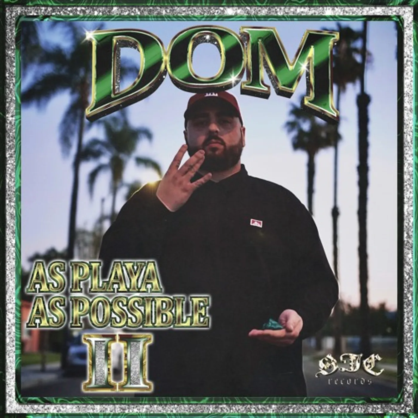 Domsta AS PLAYA AS POSSIBLE II Vinyl Record