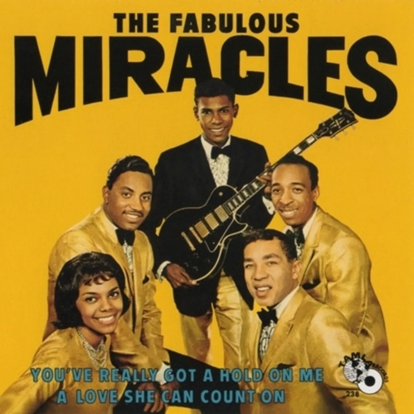 The Miracles You've Really Got A Hold On Me Vinyl Record