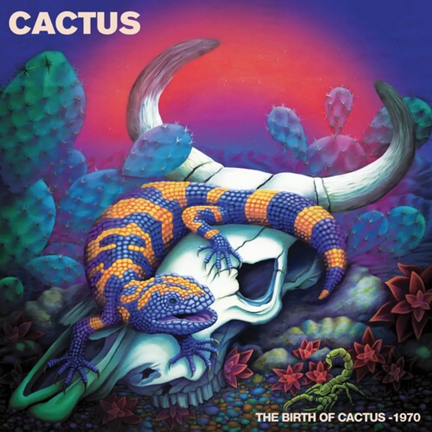 BIRTH OF CACTUS - 1970 Vinyl Record - Red Vinyl