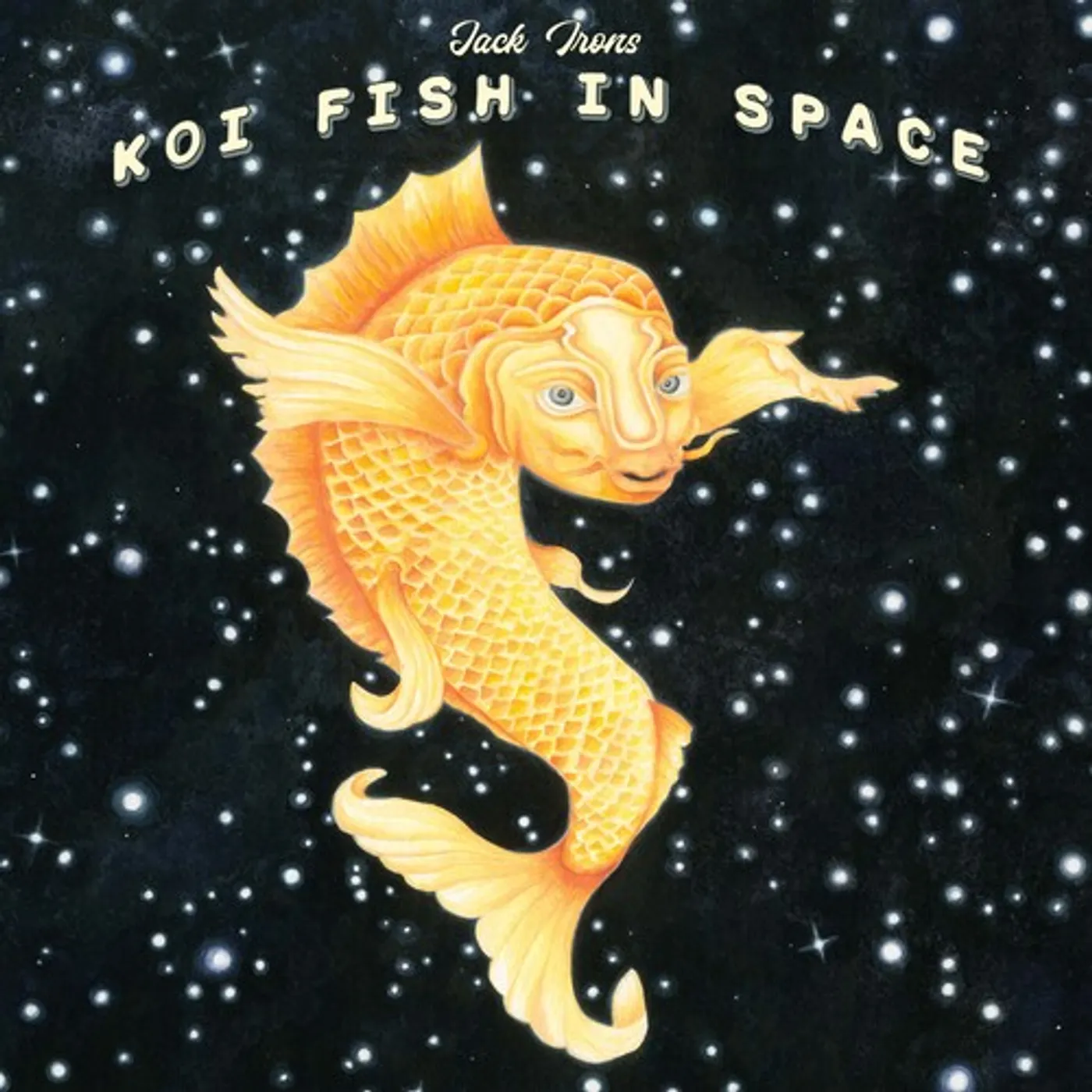 Jack Irons Koi Fish in Space Vinyl Record