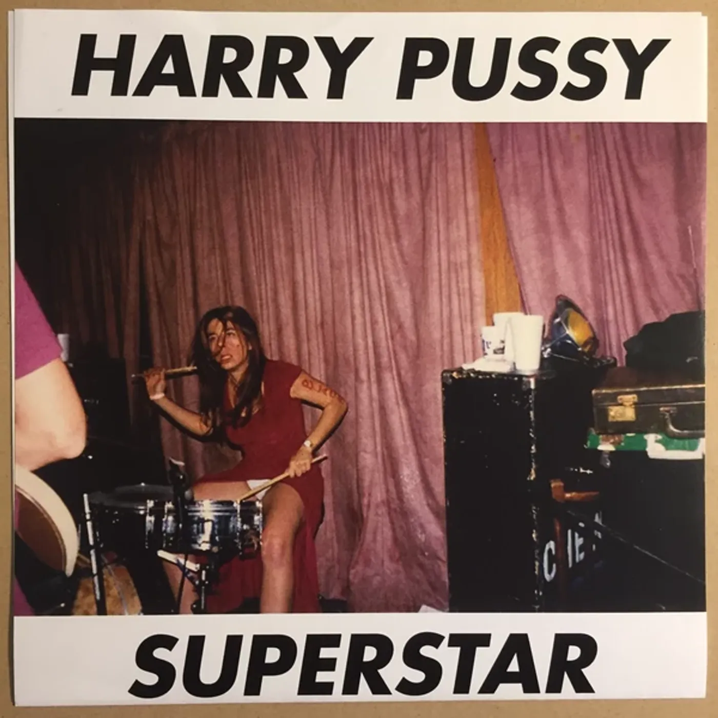 Harry Pussy Superstar Vinyl Record