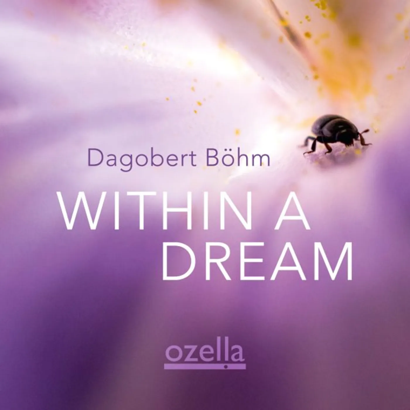 Dagobert Böhm Within a Dream Vinyl Record