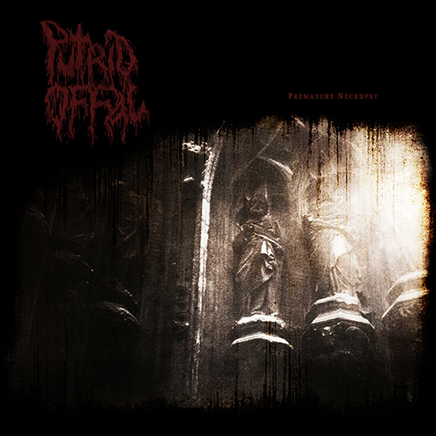 Putrid Offal Premature Necropsy: the Carnage Continues Vinyl Record