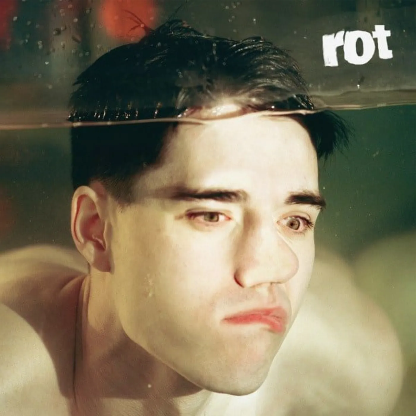 Tennyson Rot Vinyl Record