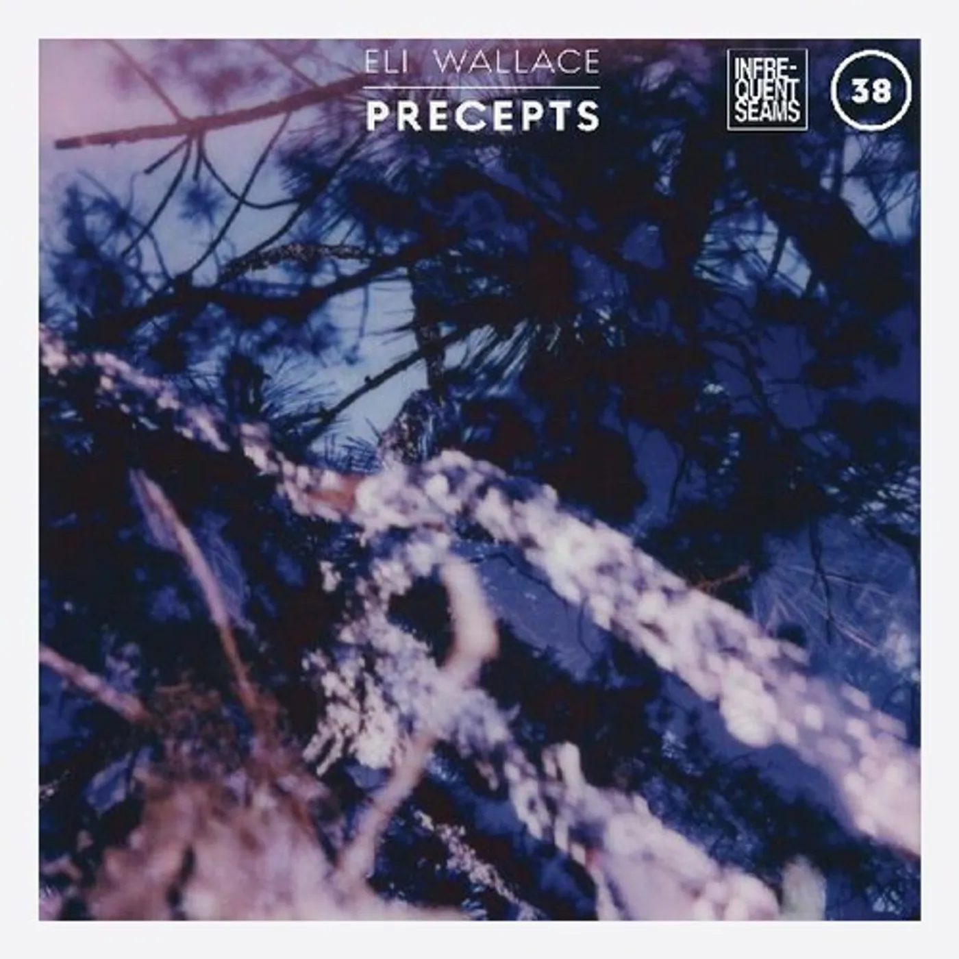 Eli Wallace PRECEPTS CD