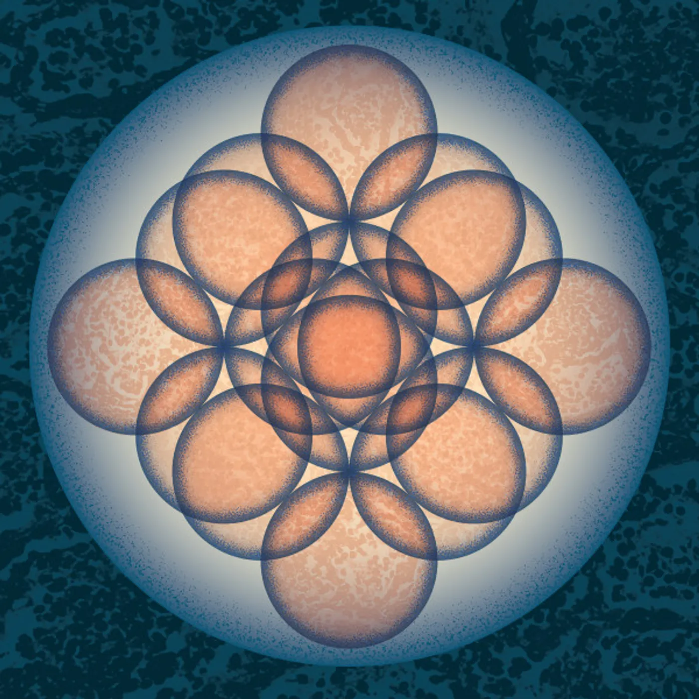 Embryo Auf Auf Vinyl Record