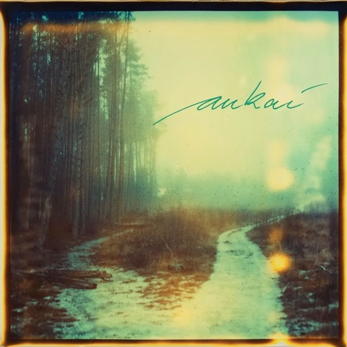 Aukai Vinyl Record