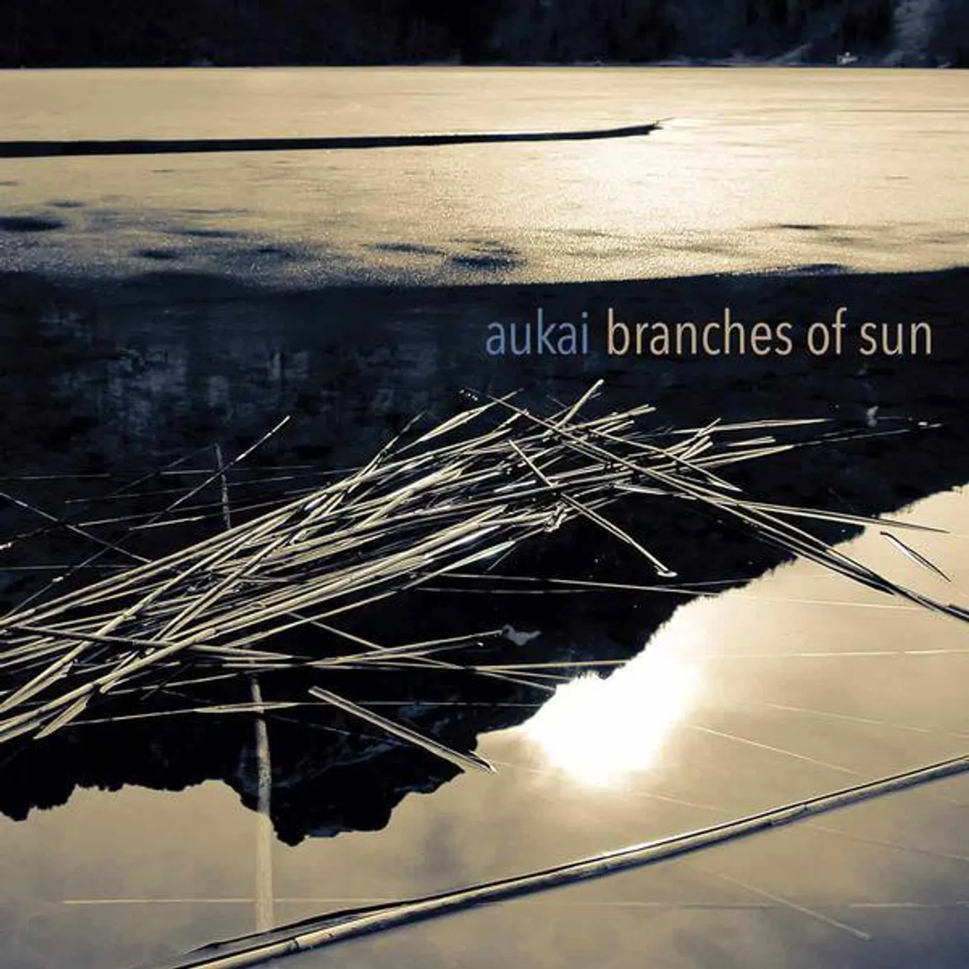 Aukai Branches of Sun Vinyl Record