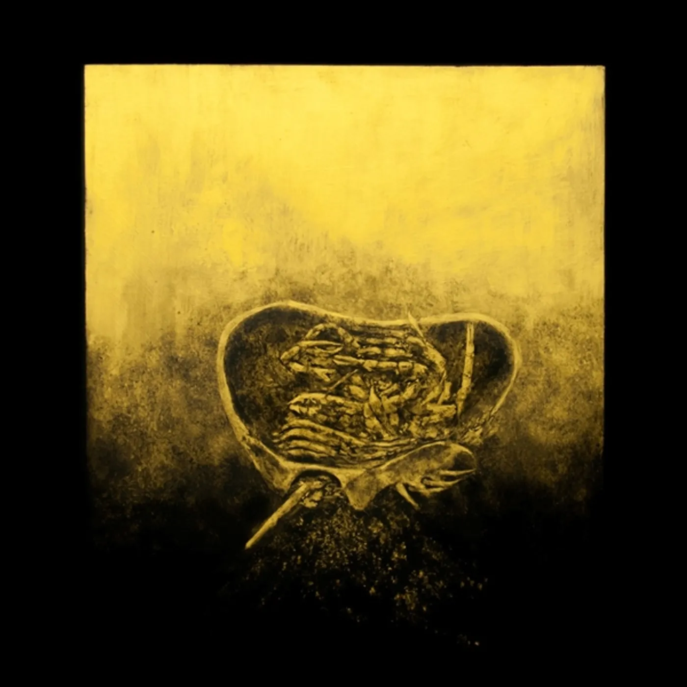 Luna Honey Ballast Vinyl Record