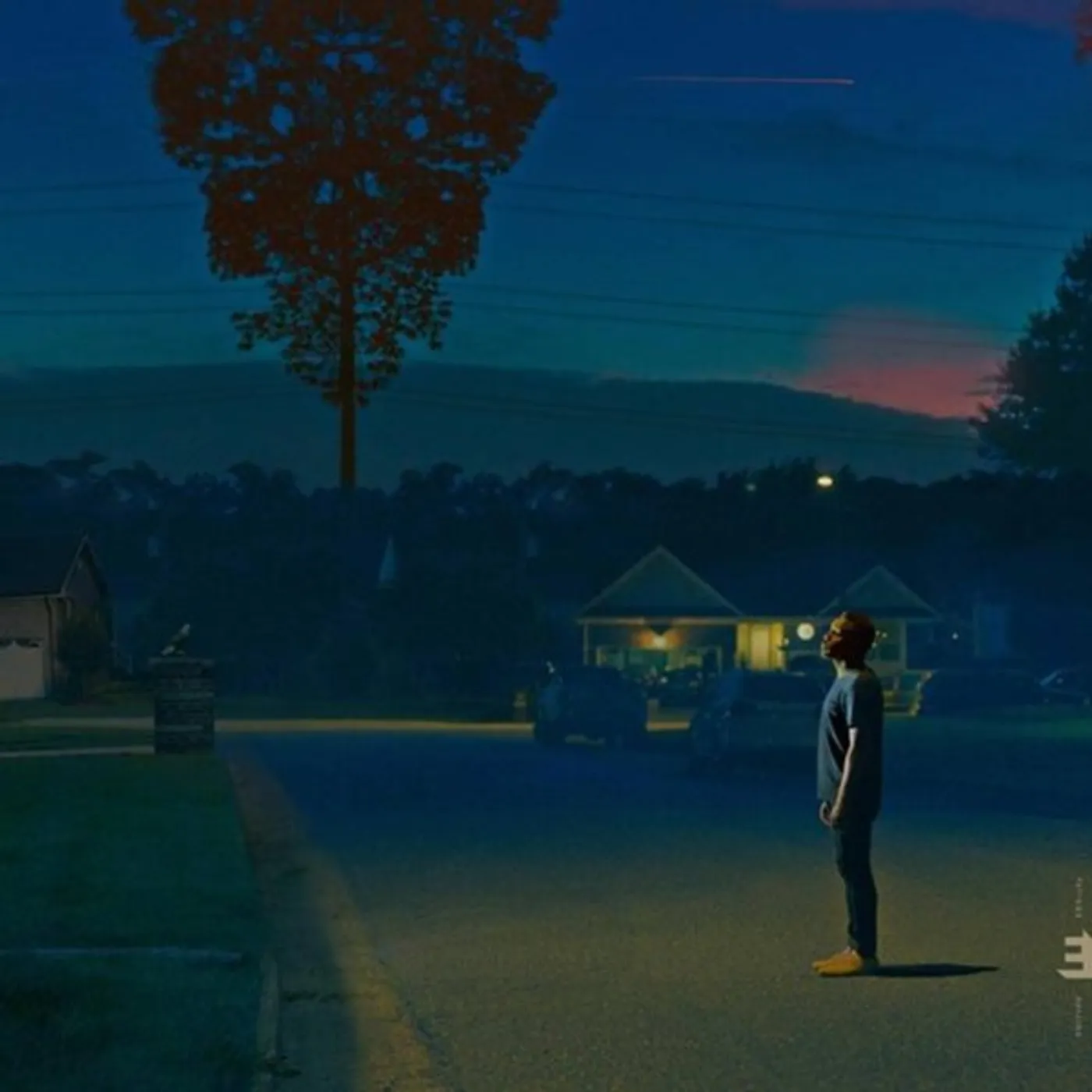 Nate Smith Kinfolk 2: See the Birds Vinyl Record