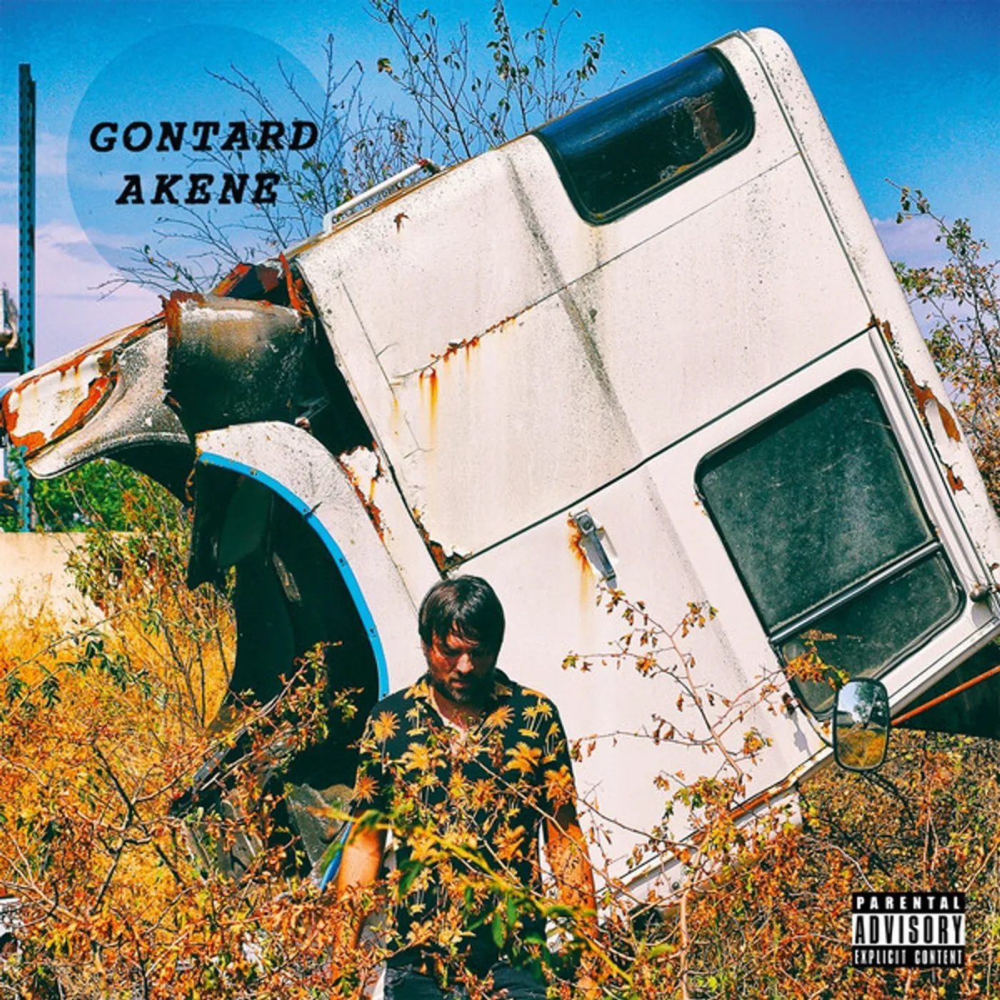 Gontard Akene Vinyl Record