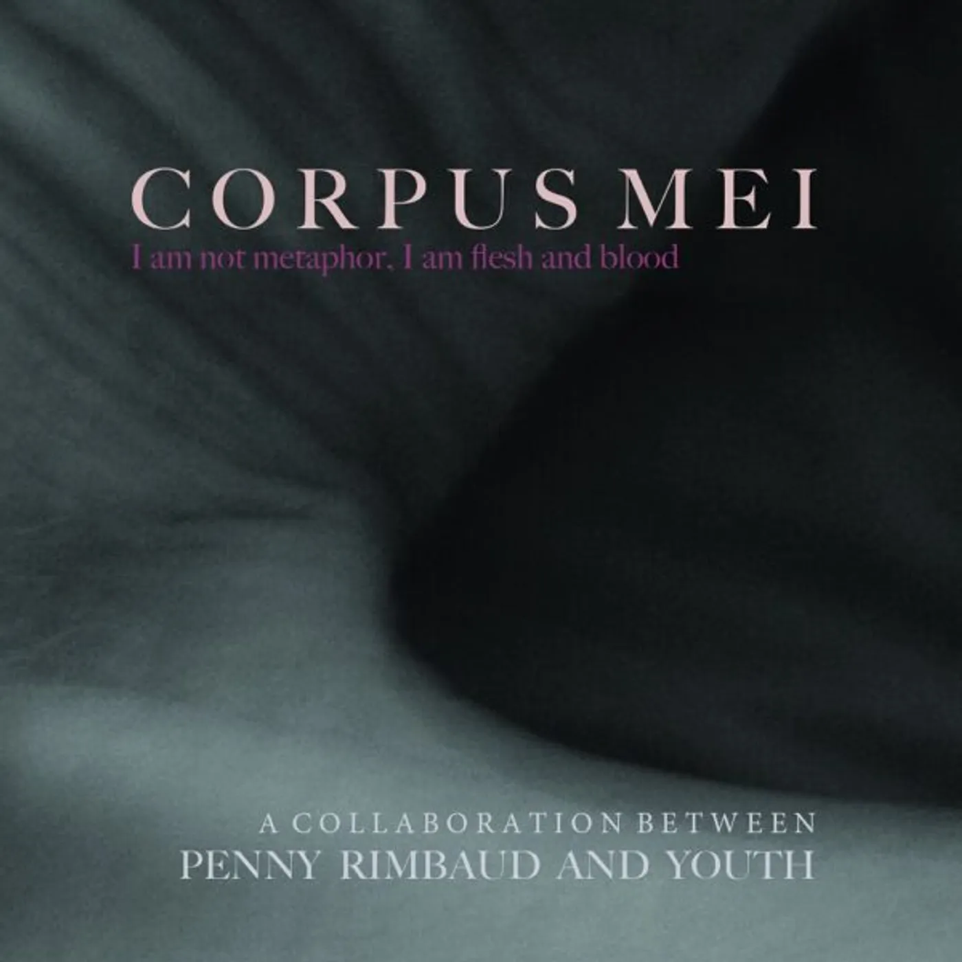Penny Rimbaud Corpus Mei Vinyl Record