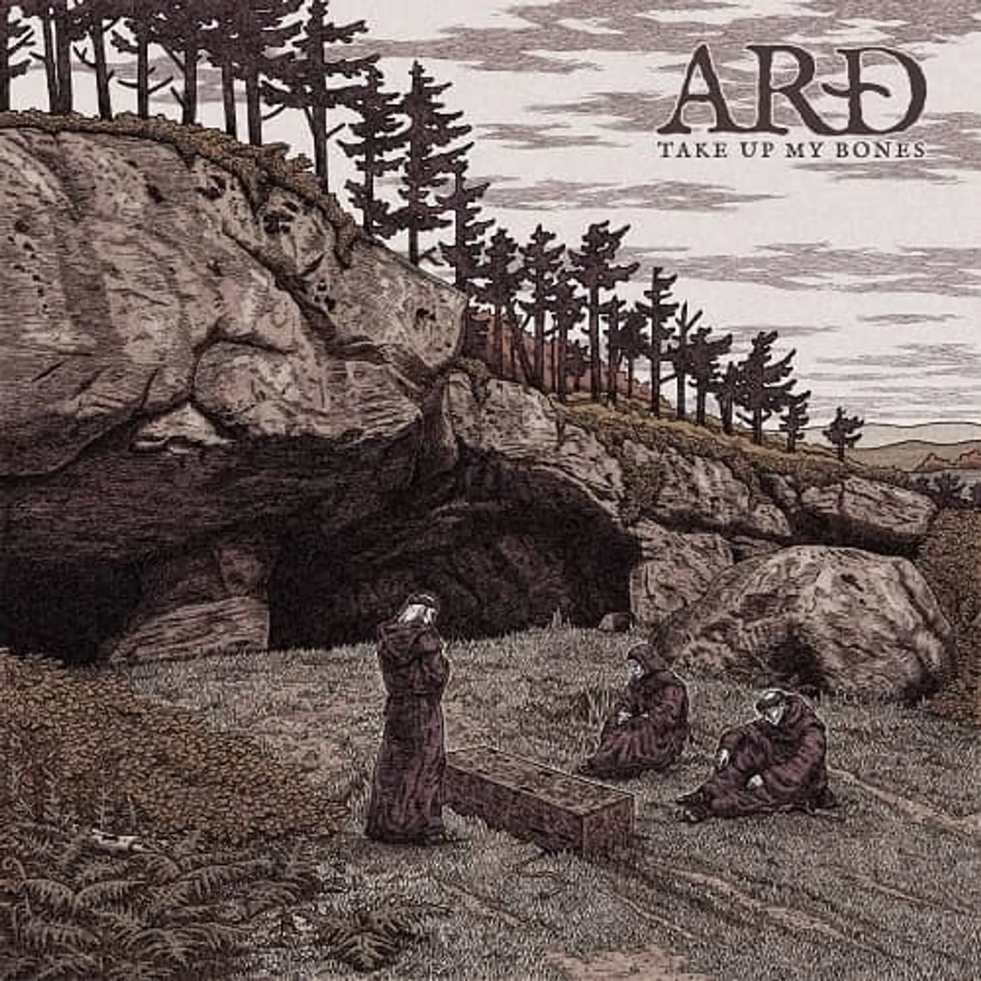 ARD TAKE UP MY BONES Vinyl Record