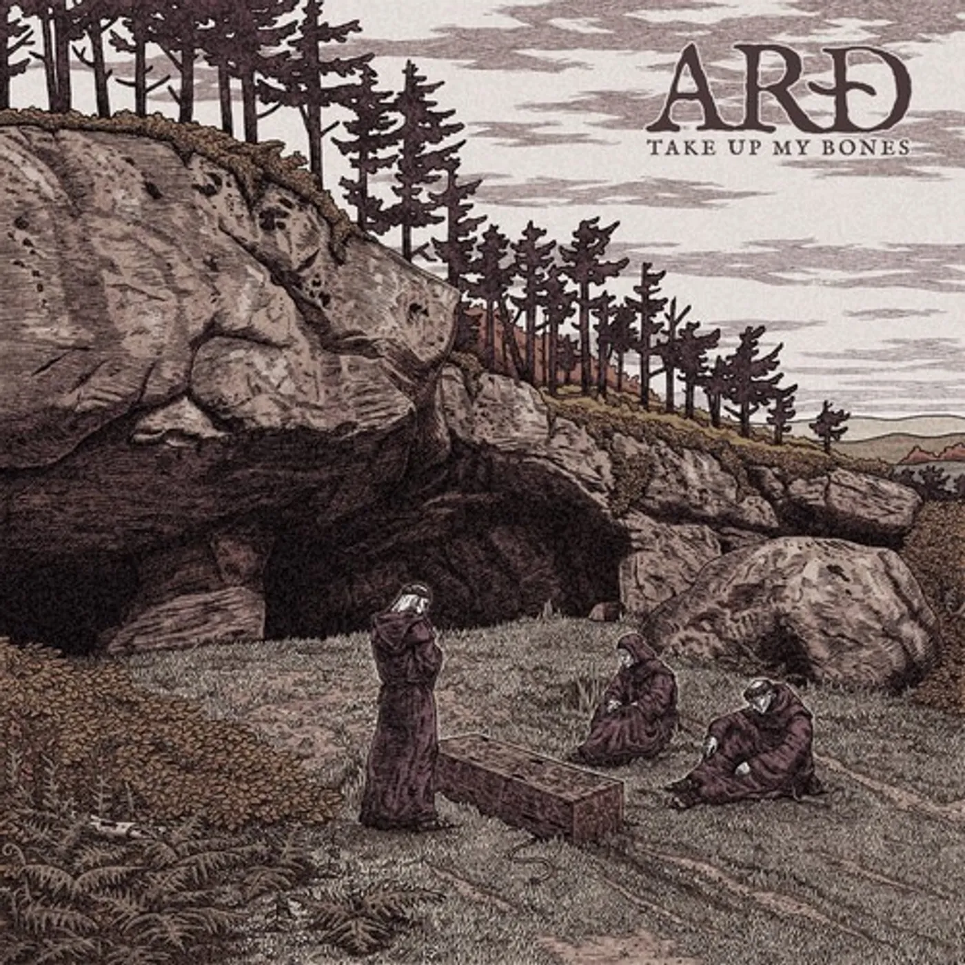 ARD TAKE UP MY BONES CD
