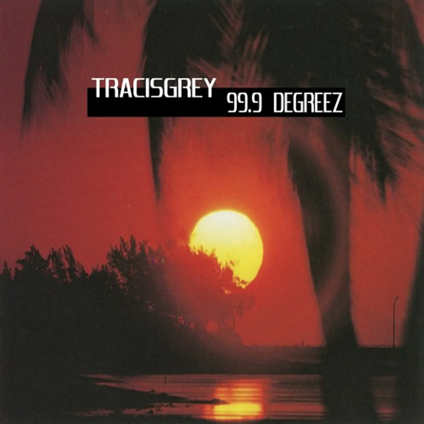TRACISGREY 99.9 Degreez Vinyl Record
