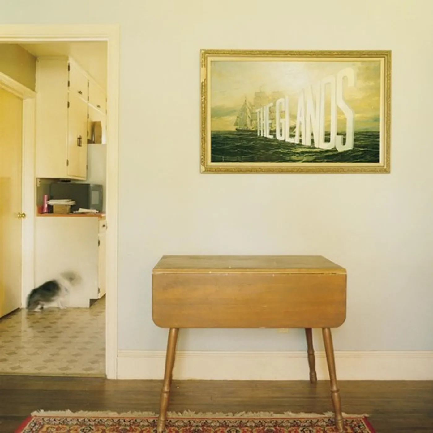 The Glands Vinyl Record