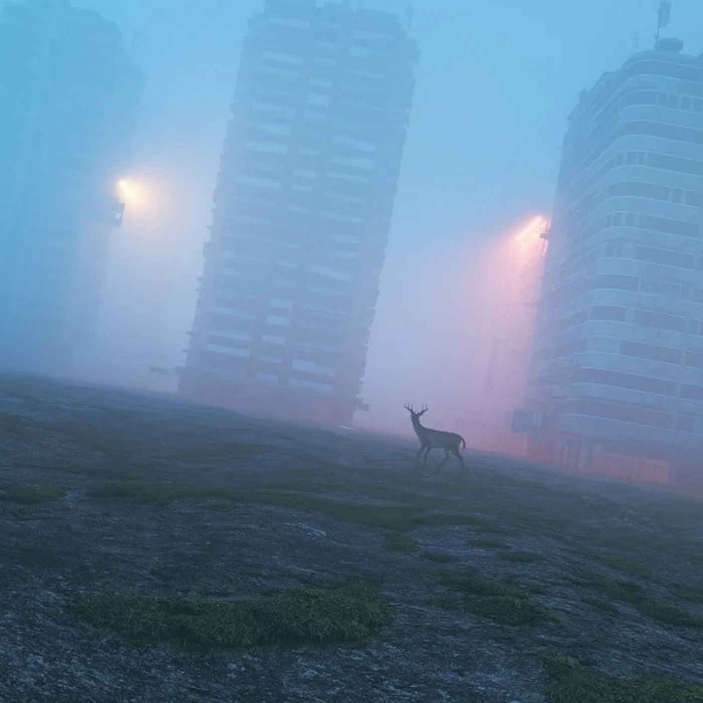 Franck Vigroux Atotal Vinyl Record