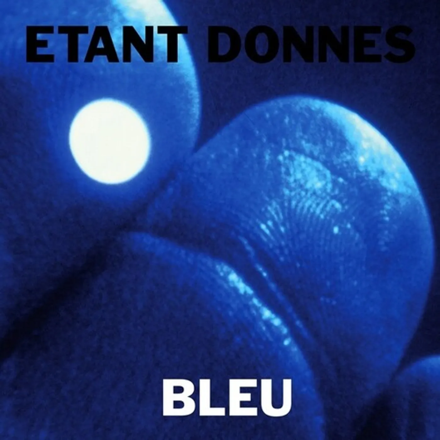 Etant Donnés Bleu Vinyl Record