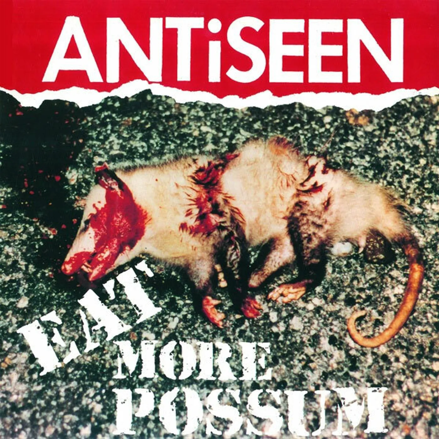Antiseen Eat More Possum Vinyl Record