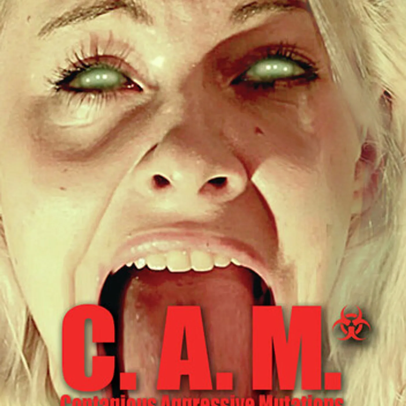 CAM DVD