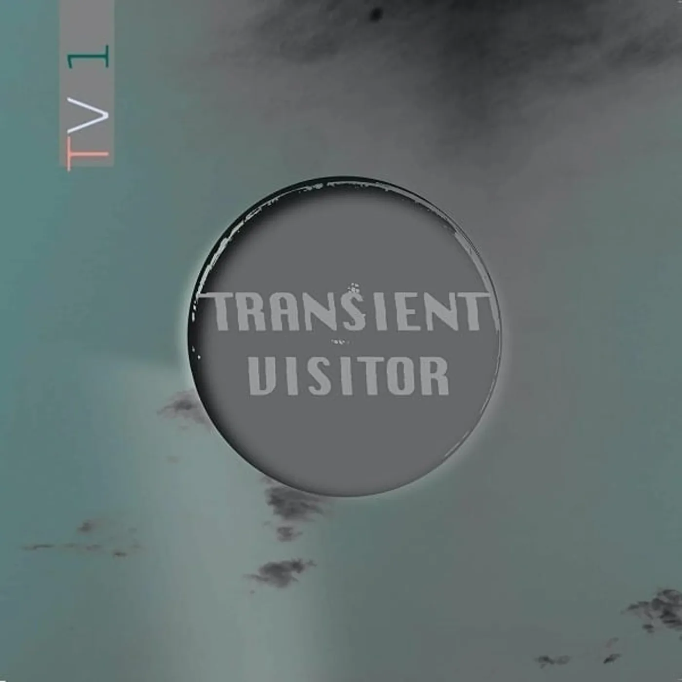 Transient Visitor TV1 Vinyl Record