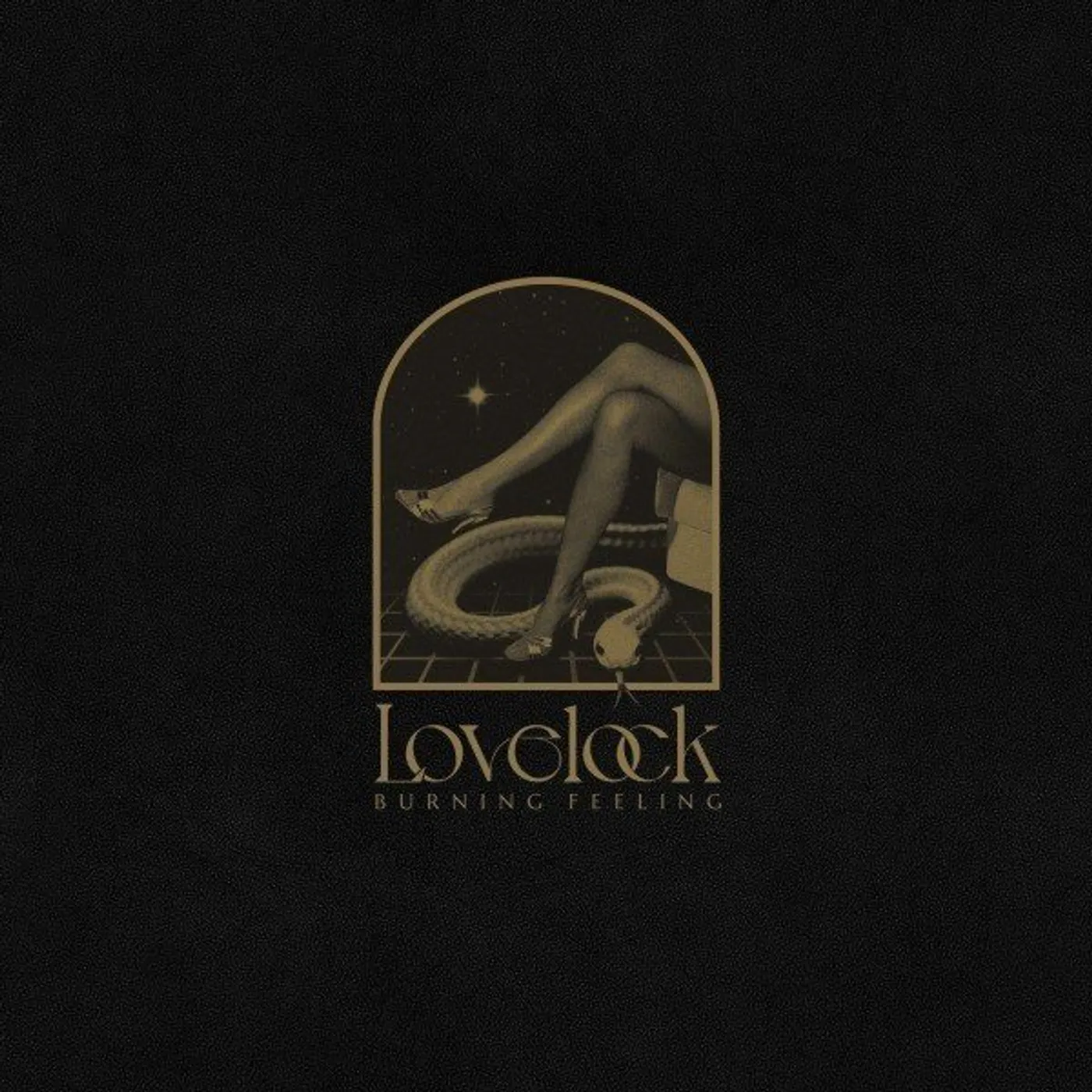 Lovelock Burning Feeling Vinyl Record