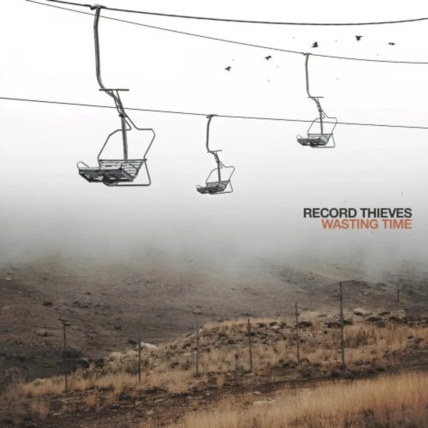 Record Thieves Wasting Time Vinyl Record
