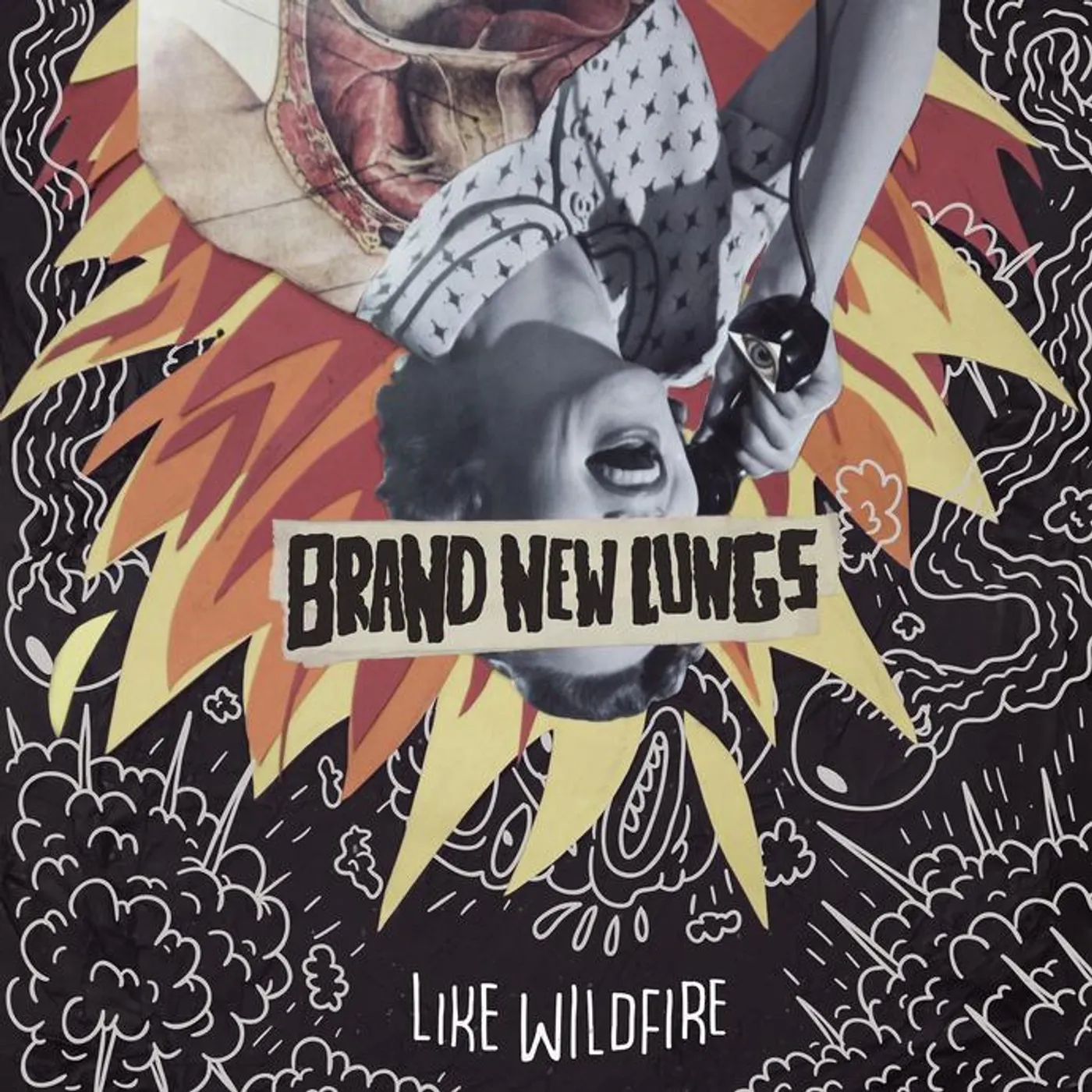 Brand New Lungs Like Wildfire Vinyl Record