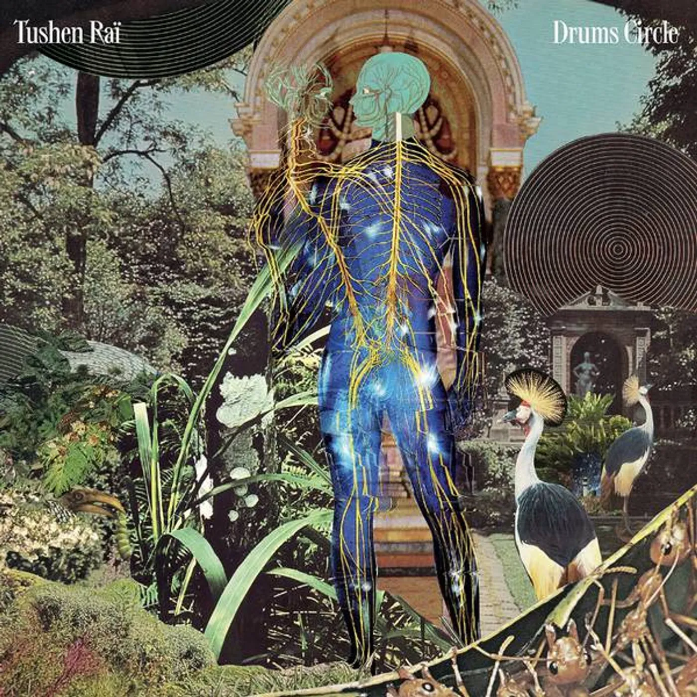 Tushen Raï Drums Circle Vinyl Record