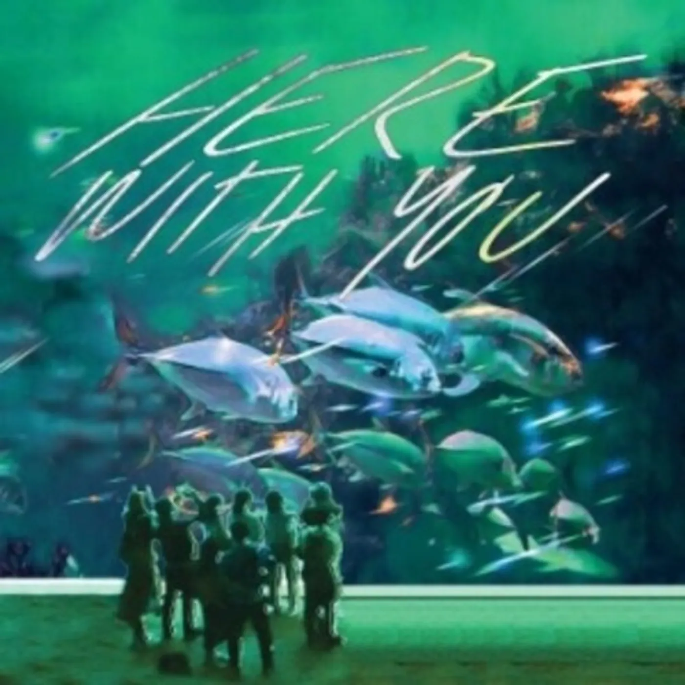 Tahiti 80 HERE WITH YOU CD