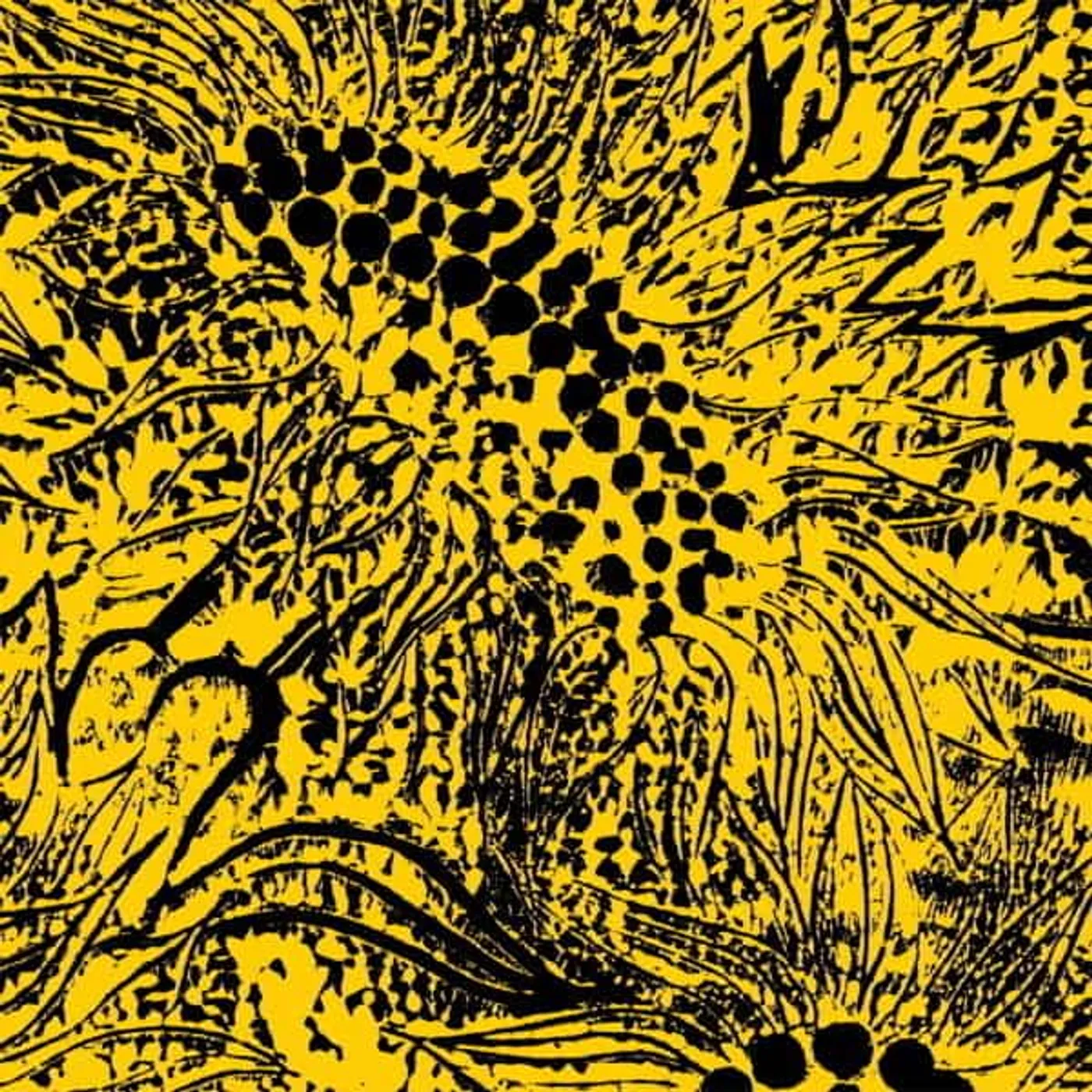 Amanda Whiting Little Sunflower Vinyl Record