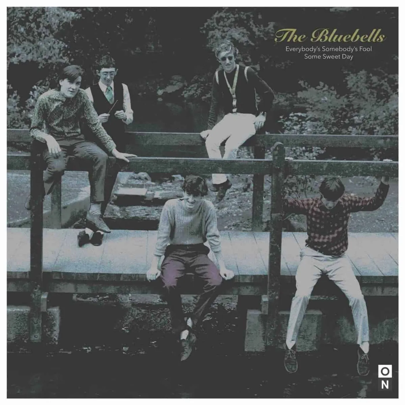 The Bluebells EVERYBODY'S SOMEBODY'S FOOL Vinyl Record